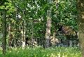 [ pilt: 045  X   IMG_4007.JPG ]